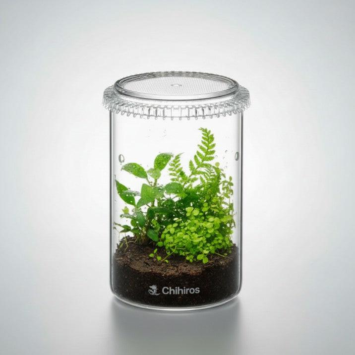 Chihiros Glass Pot large cylinder - tall transparent glass terrarium with mesh lid for emersed plant propagation