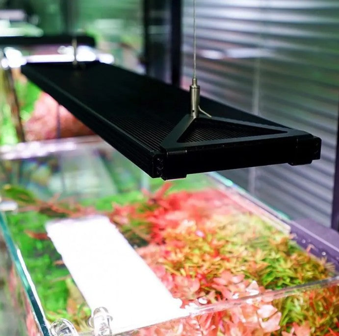 Chihiros WRGB2 Pro 45cm (56W) LED Light - Advanced Planted Tank Lighting Aquarium Boutique.
