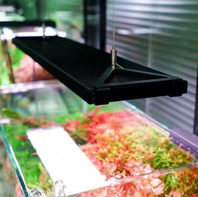 Chihiros WRGB2 Pro 45cm (56W) LED Light - Advanced Planted Tank Lighting.