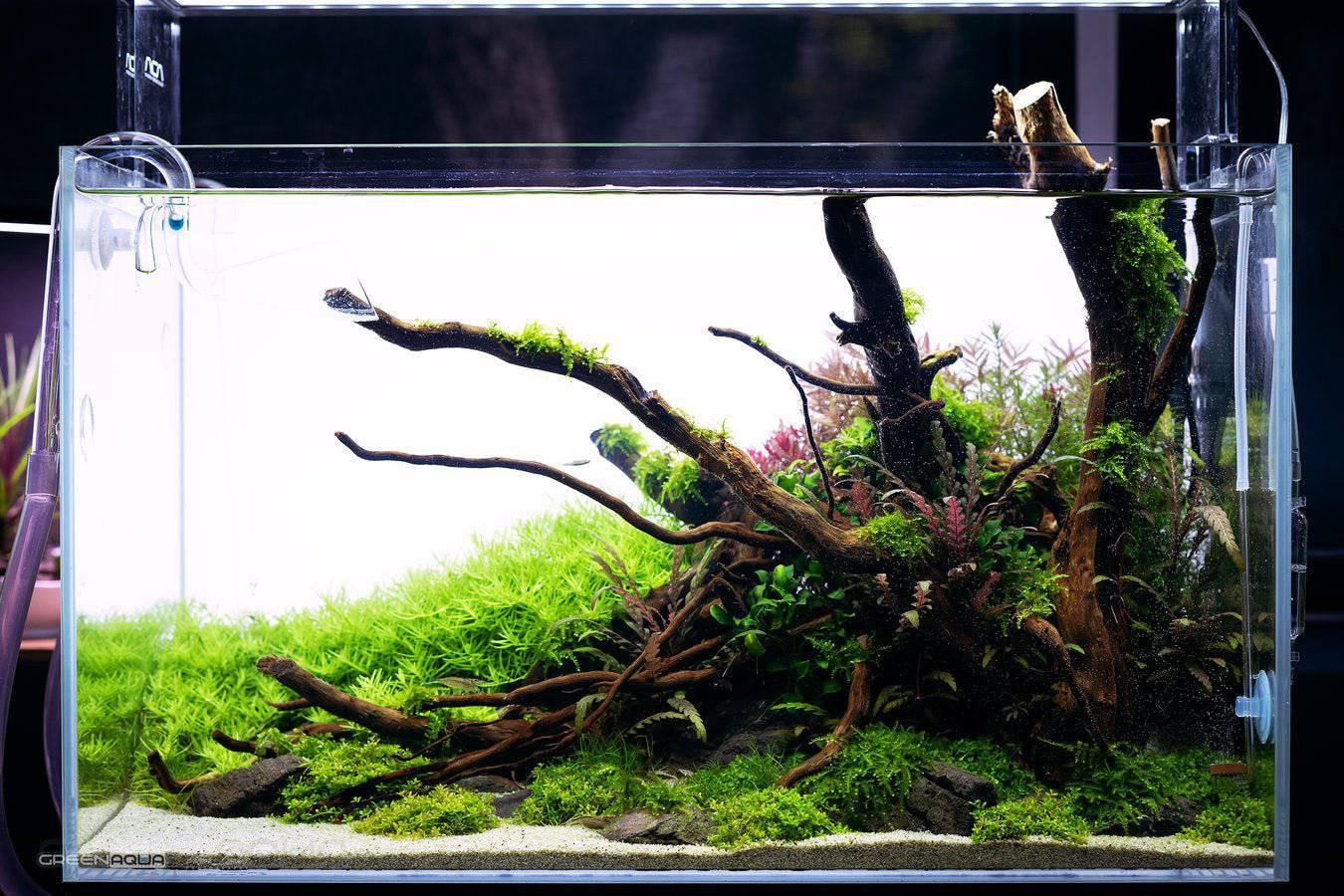 Illuminated LED Back Light.