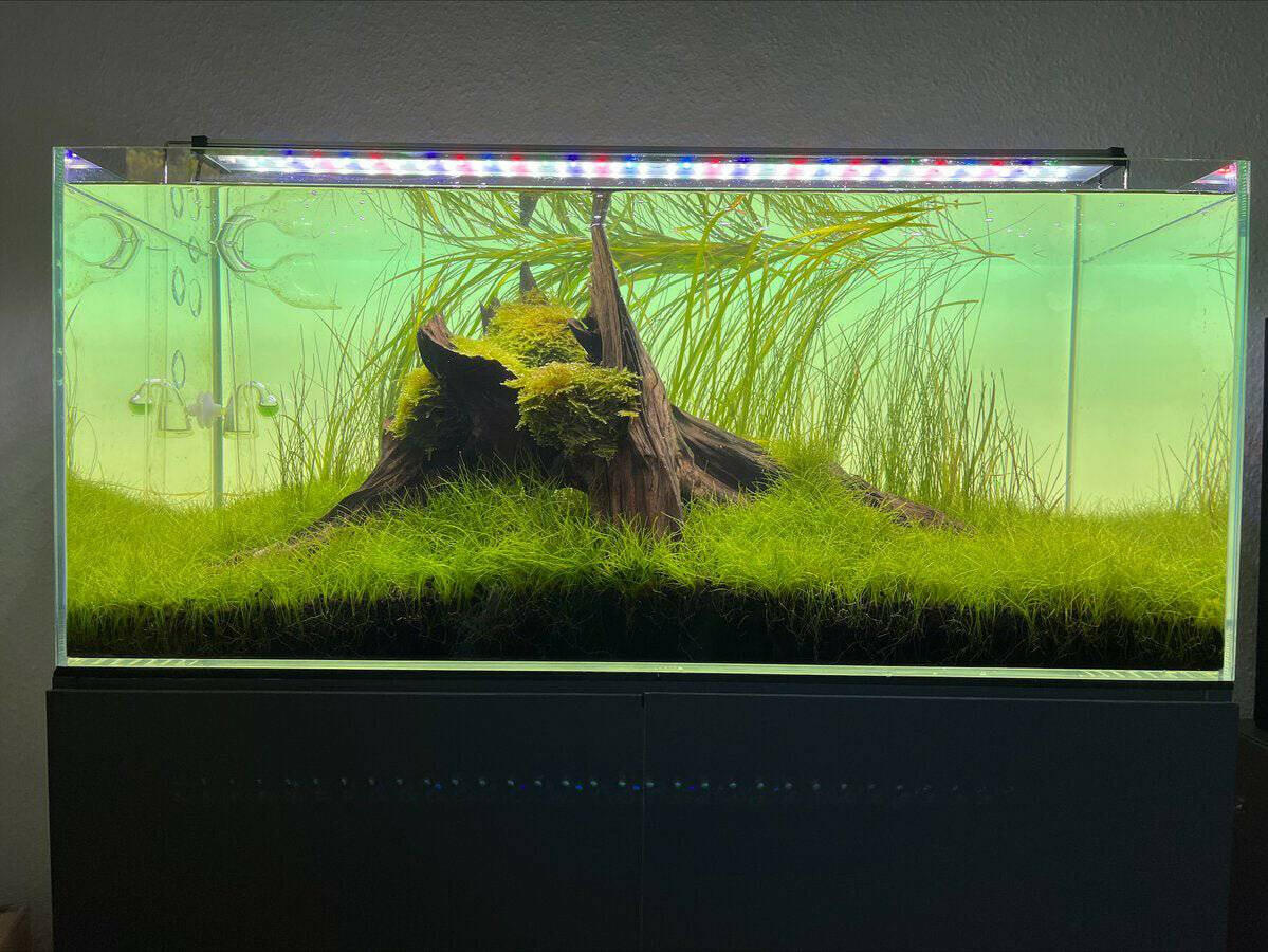 RGB Background Smart Illuminated.