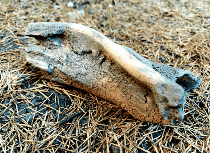 Ceramic Handcrafted Driftwood.