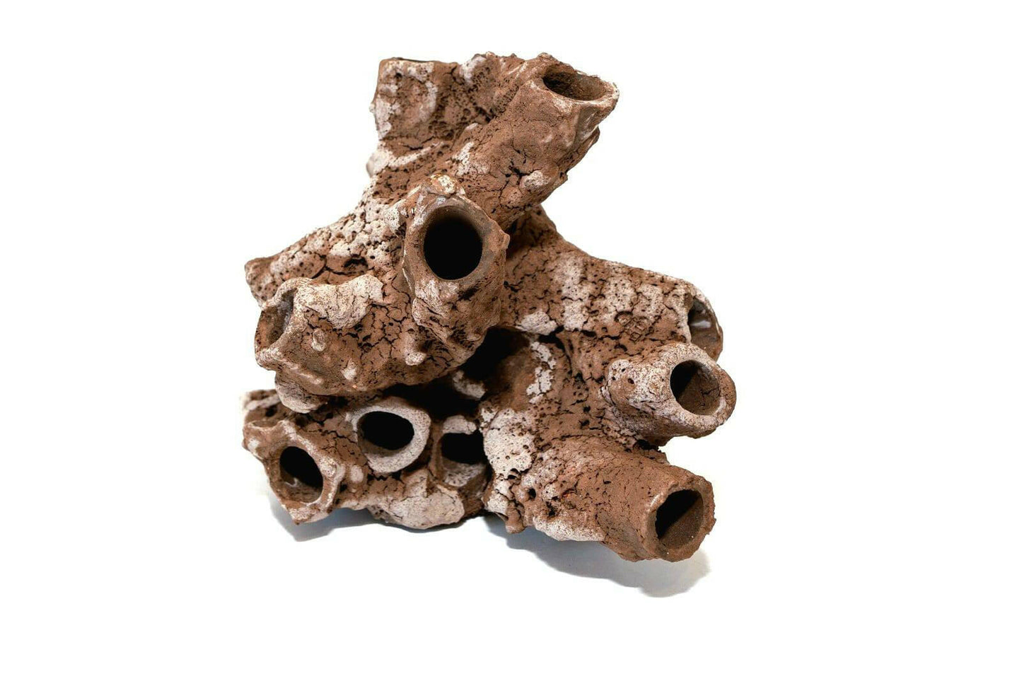Ultra-Realistic Cave - Shrimp Nest.