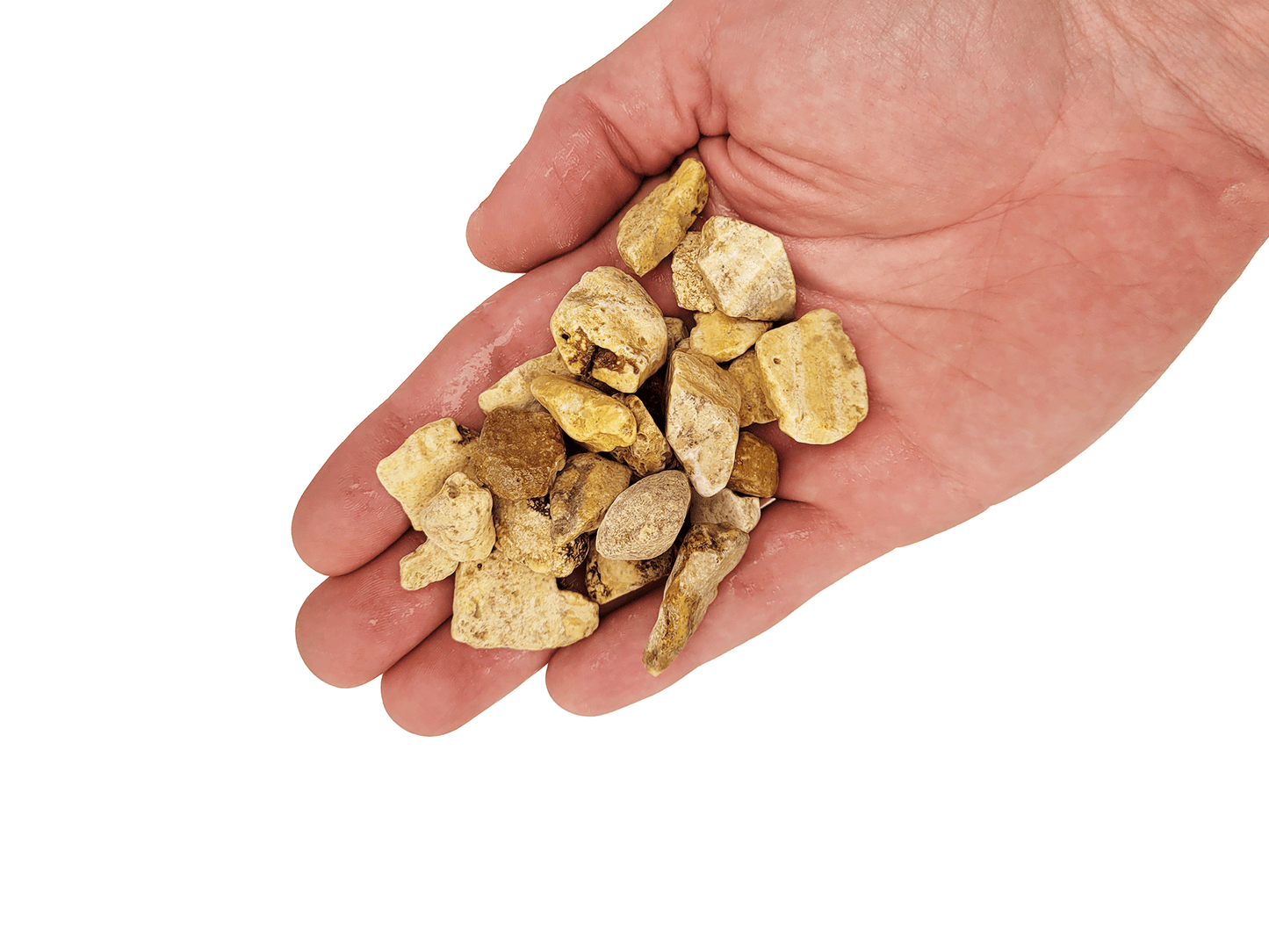 WIO White Adder Gravel Mix - Pale-Yellow to Cream Gravel for Aquariums & Terrariums.