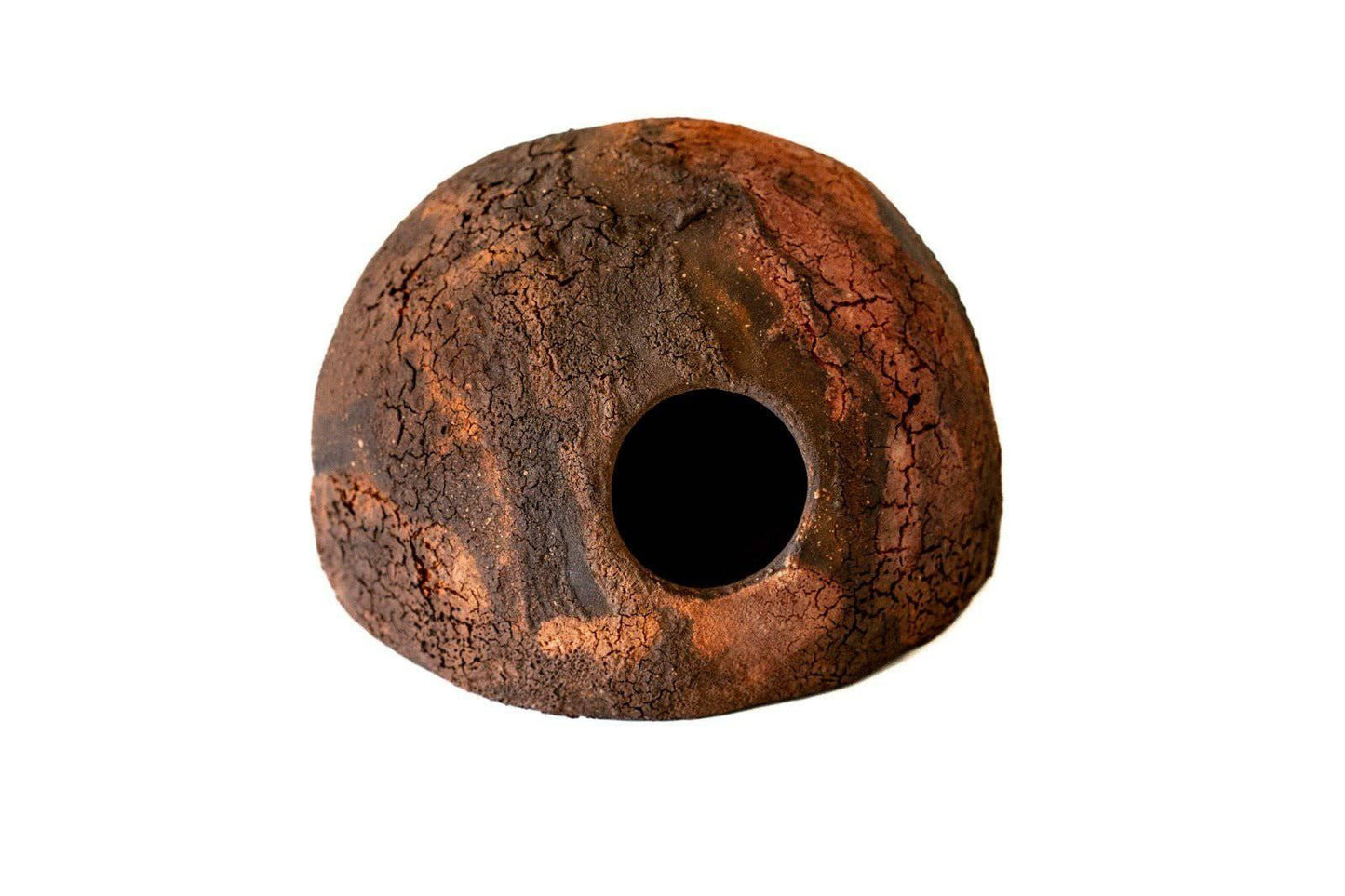 Dwarf Cichlids Caves.