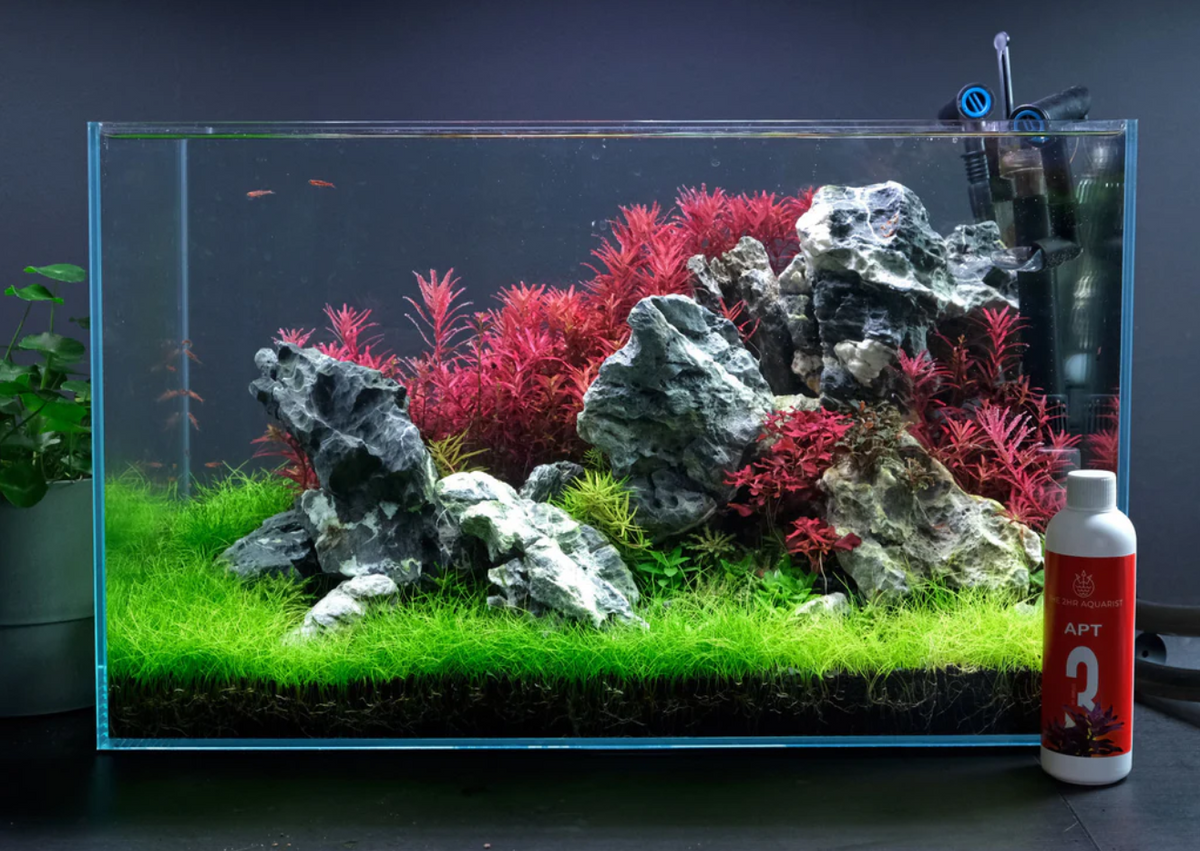 2Hr Aquarist APT3 Now in Bulgaria - Aquarium Boutique