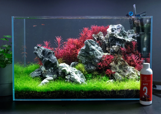 2Hr Aquarist APT3 Now in Bulgaria: Elevate Your Aquascaping Game