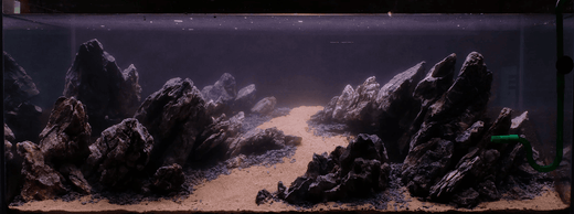 Dark Start Aquarium Method - Aquarium Boutique