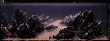 Dark Start Aquarium Method - Aquarium Boutique