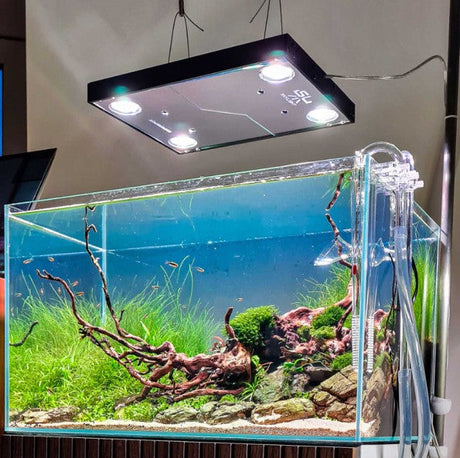 Top 5 LED Aquarium Lights in 2026: From Budget to Pro Class
