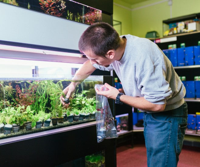 What Kind of People Make the Best Aquarists? Insights from Our Clients Reveal Surprising Patterns