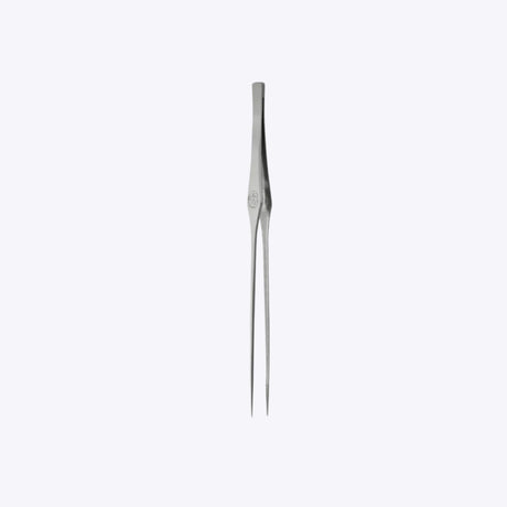 Chihiros Professional Straight Tweezers 25cm – precision aquascaping tool for planting and trimming