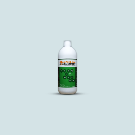 MasterLine All In One Boost 1000 ml