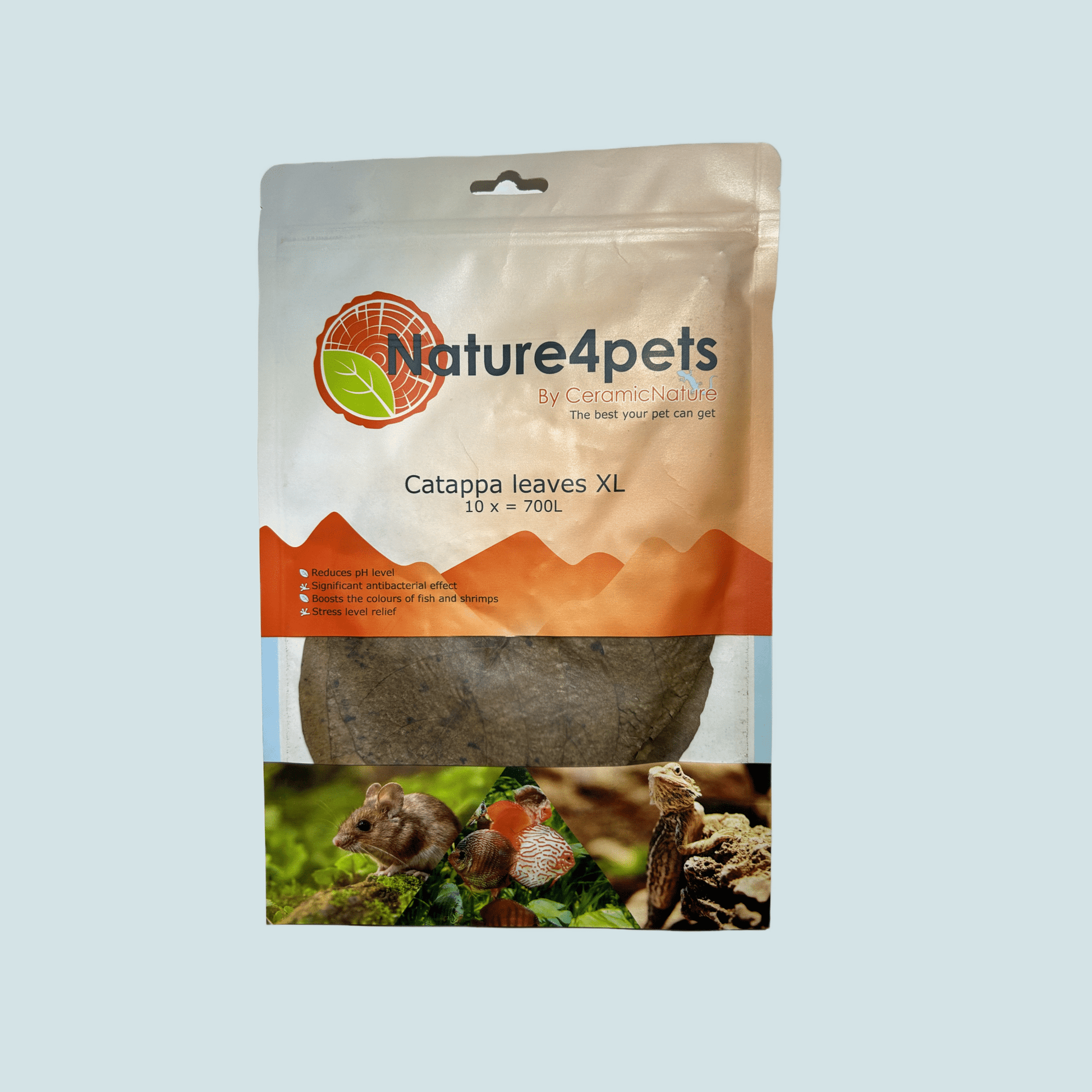 Catappa Leaves XL – Indian almond leaves by Ceramic Nature