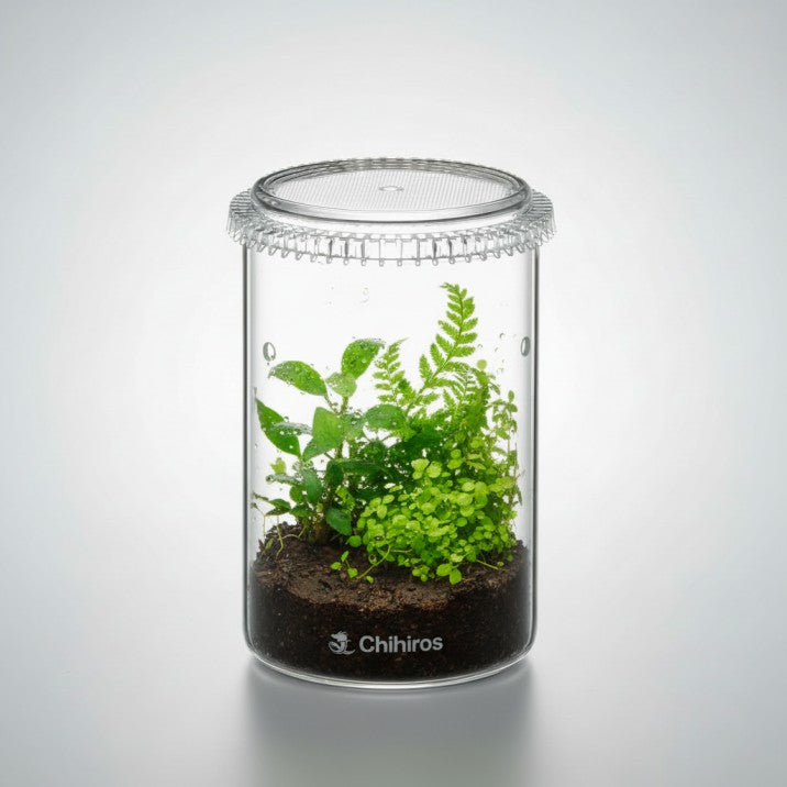  Chihiros Glass Pot large cylinder - tall transparent glass terrarium with mesh lid for emersed plant propagation