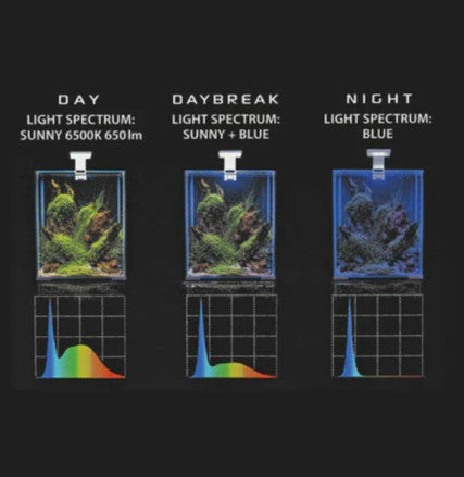 LEDDY SMART 4.8W PLANT&NIGHT LED Light -  Smart Aquarium Lighting  Aquarium Boutique.