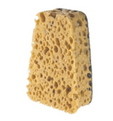 Me Scrubby Steve – Algae Cleaning Sponge for Aquarium Glass