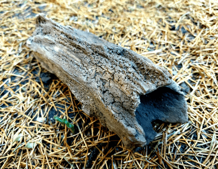 Ceramic Handcrafted Driftwood