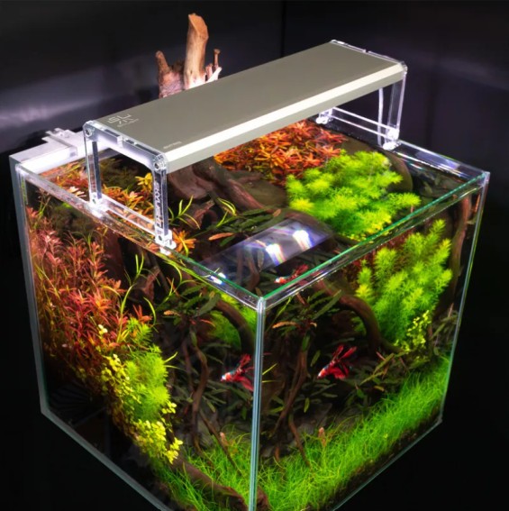 Skylight ENTRIQ FS.30AH – 29 cm LED Light for Covered Aquariums