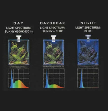 aquael-leddy-smart-plant-night-moods.jpg