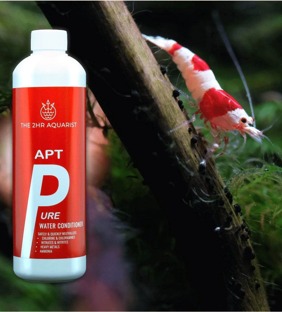 2Hr Aquarist APT Pure.
