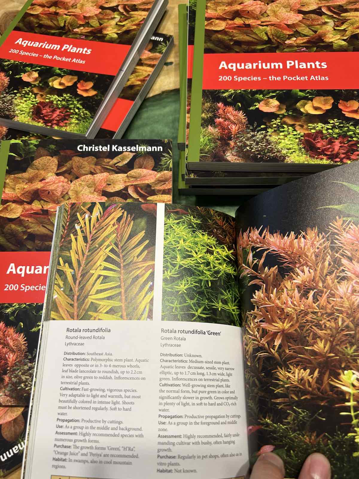 Picture of a page of the book Aquarium Plants 200 Species – the Plants Pocket Atlas - Aquarium Boutique