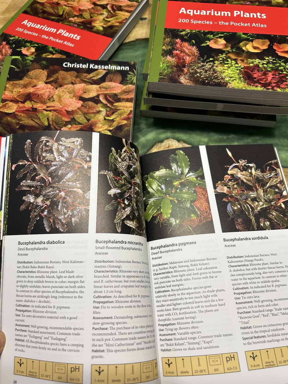 Picture of some of the pages of the book Aquarium Plants 200 Species – the Plants Pocket Atlas, showing colorful aquatic plants and their names - Aquarium Boutique