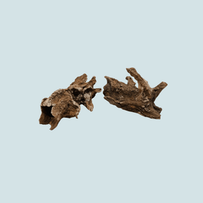 Ultra Log Cave – handcrafted ceramic cave, approx. 14x19 cm with 4 cm mouth diameter
