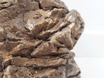 WIO Elderly Stone - Unique Rugged Texture for Stunning Aquascapes.