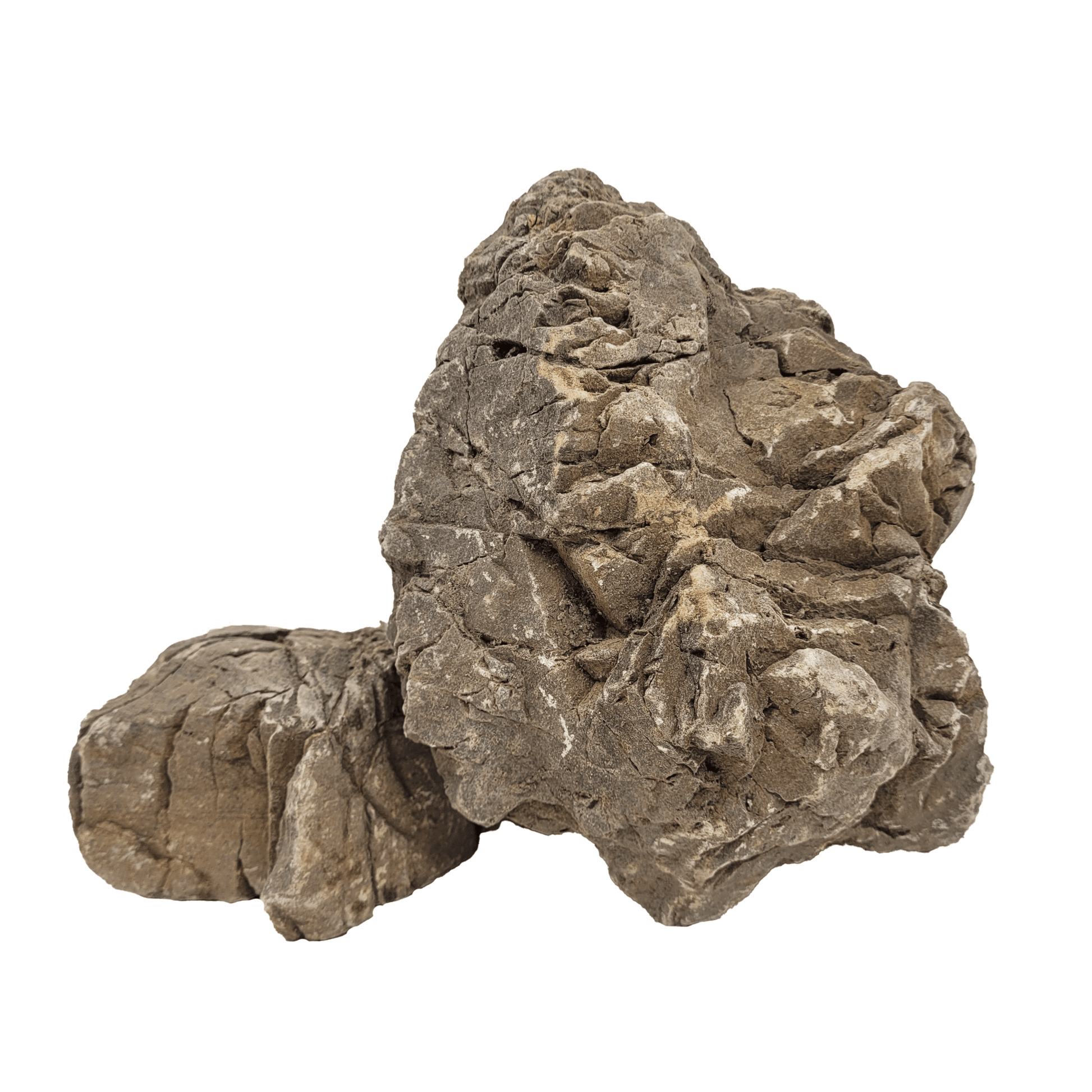 WIO Elderly Stone - Unique Rugged Texture for Stunning Aquascapes - Aquarium Boutique