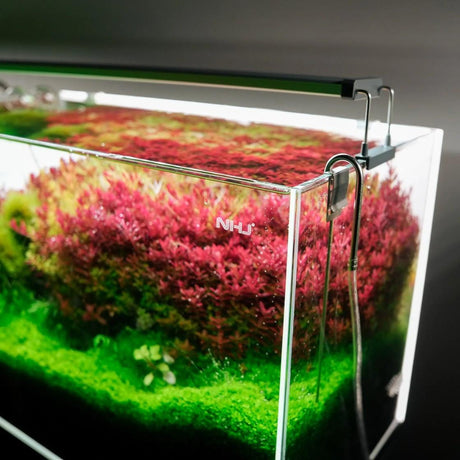 Chihiros B-Series LED aquarium light – additional product photo