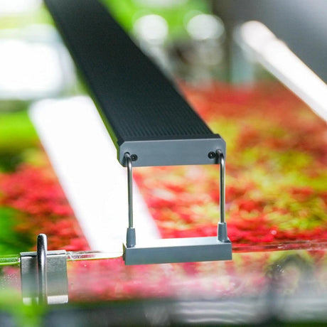 Chihiros B-Series LED aquarium light – Bluetooth app-controlled lighting above a planted tank