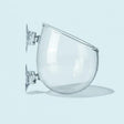 Glass Plant Vase for Aquarium – clear display vessel for aquatic plants