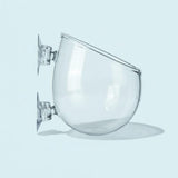 Glass Plant Vase for Aquarium – clear display vessel for aquatic plants