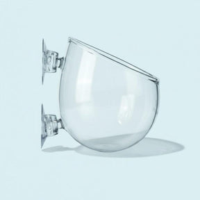 Glass Plant Vase for Aquarium – clear display vessel for aquatic plants