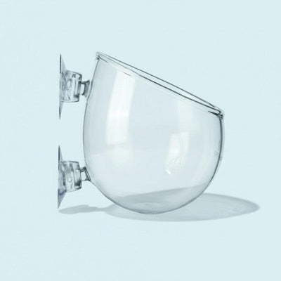 Glass Plant Vase for Aquarium - Clear Display Vessel for Aquatic Plants
