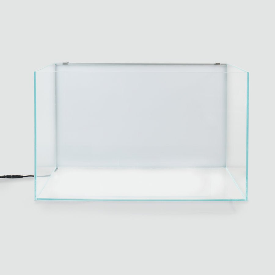 Illuminated LED Back Light - Aquarium Boutique