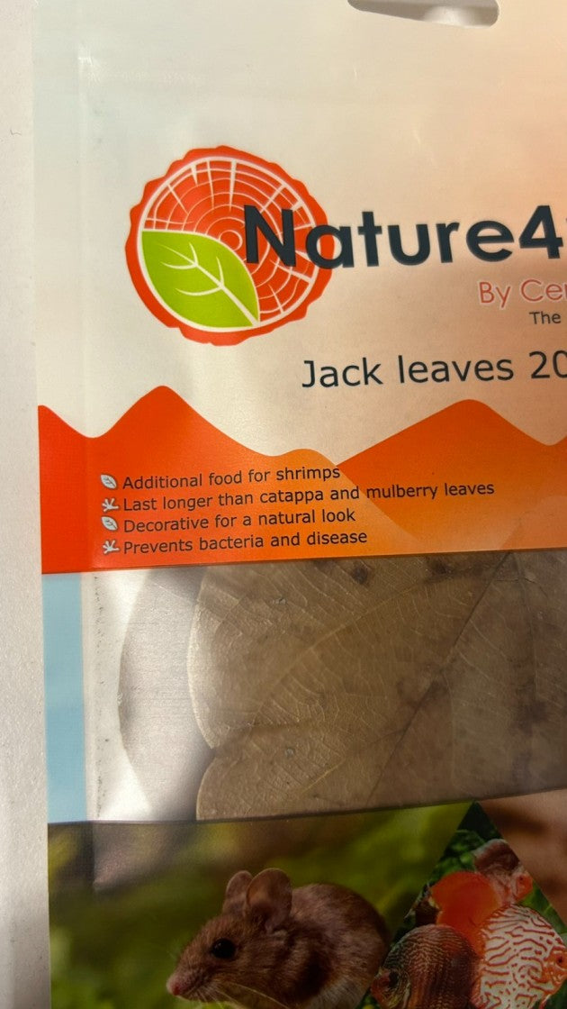Jackfruit Leaves 20x – храна и декорация за скариди / shrimp food & decor | Aquarium Boutique