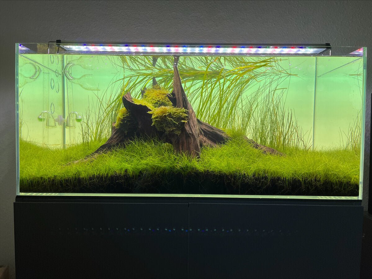 RGB Smart Illuminated Background - Aquarium Boutique