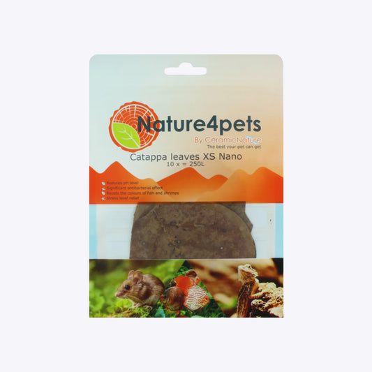 Catappa Leaves XS Nano – листа от индийски бадем (Indian almond leaves) Nature4Pets 10 pcs